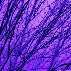 (Quality Control, Quavo, Lil Yachty - Ice Tray Edit)