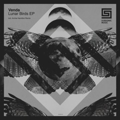 B1. Venda - Lunar Birds (Archie Hamilton Remix)VINYL ONLY Teaser