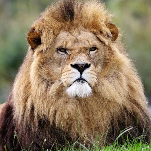 Discovering Your Personal Leadership - Dr Myles Munroe