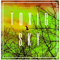 Toxic Sky