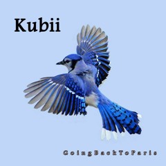 Kubii - Going Back to Paris