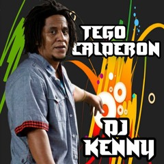 Tego Calderon - Pa Que Se Lo Gozen - DJ Kenny