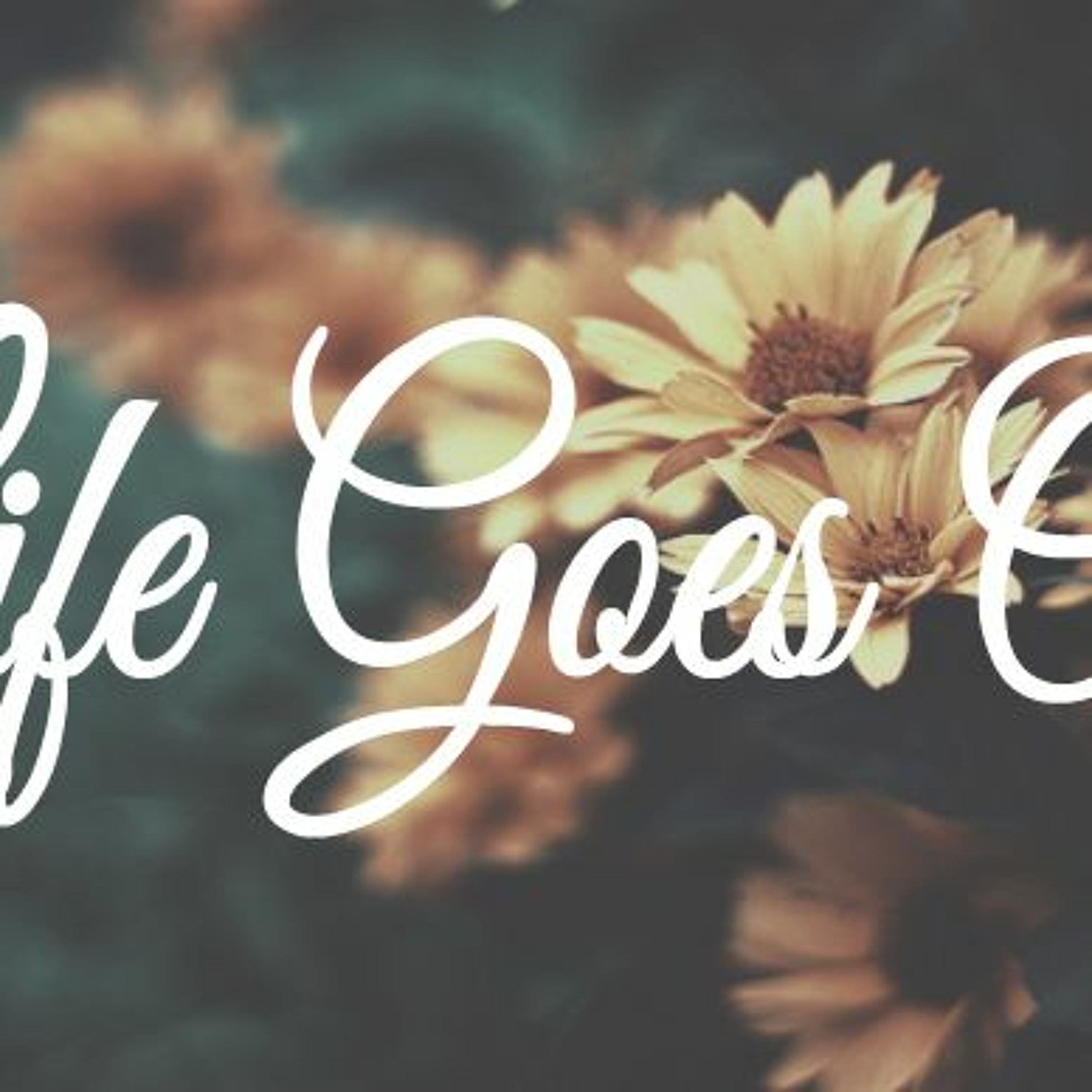 Life Goes On episode artwork