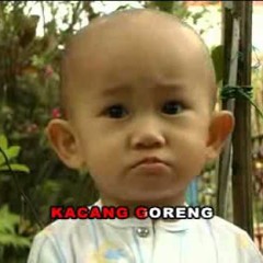 FIKRANMAHMUD - KACANG GORENG (FVNKNIGHT) NEW!!!