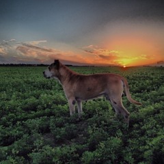 Andain [Buster Tribute]