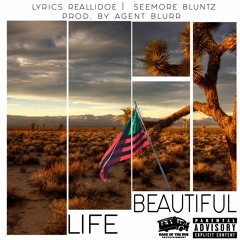 Beautiful Life (Reallidoe Lyrics X Seemore Bluntz)