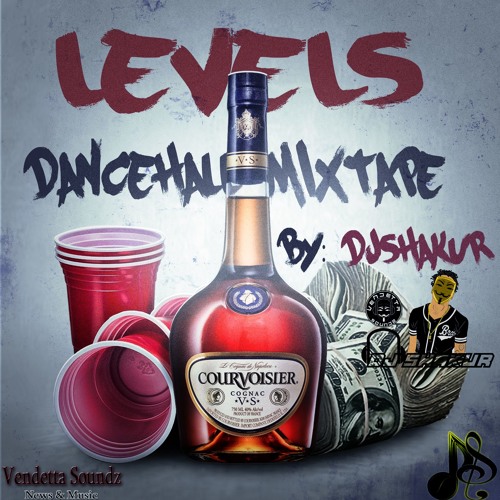 DJSHAKUR-LEVELS DANCEHALL MIXTAPE(2018)