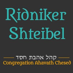 The Mechitza In Shul – Rabbi Daniel Stein