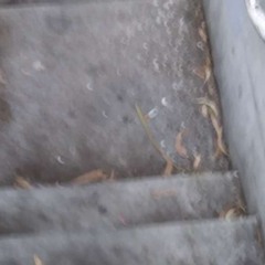 LELAND GUYTON presents - HARSH TREATMENT