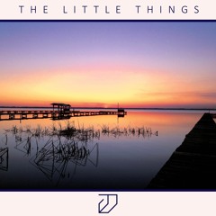 The Little Things (Original Mix)