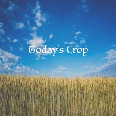 Today's Crop