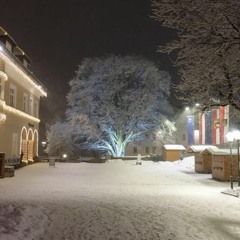 Winter Walk