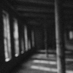 Fratres - Arvo Pärt Jiji ft. Argus quartet (Nick Revel from Publiquartet and Bassist Erez Meyuhass)