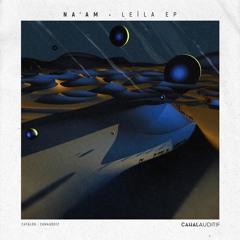 PREMIERE : Na'am - Shakl (Paradoks Remix) [Canal Auditif]