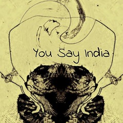 SorAleks - You Say India