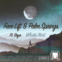 Face Lift & Palm Springs Ft. Sehya - Whats Next [Holy Cat Records Exclusive] [001 Release]