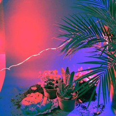 Cactus Cielo (ONNI Remix)