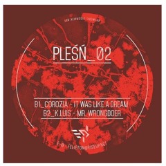 K LUIS_(Mr.Wrongdoer) - Pleśń 02