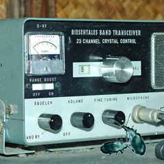 blauholz. radio_jayrope & lippstueck