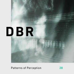 Patterns of Perception 28 - DBR