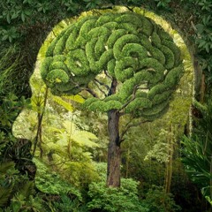 Max Richter - On the Nature of Daylight( Thoti Edit)