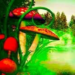 Wonderland