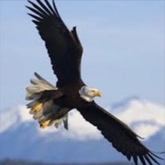 Where Eagles Fly (Live) • Rocky J. Reuter, Composer