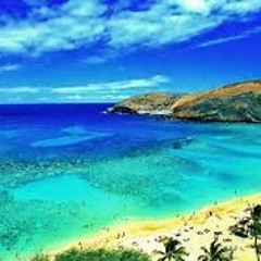 Hop To Honolulu