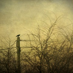 For The Rest Of My Life