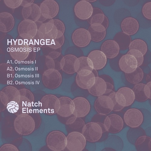 [NTCEL02] Hydrangea - Osmosis EP