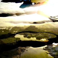 Püha putke lõikaja