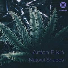 Mudra podcast / Anton El'Kin - Natural Shapes [MM65]