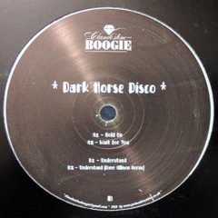 B2) Dark Horse Disco - Understand (Dave Allison Remix) CLB001 (CLIP)