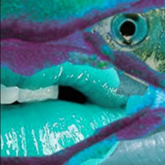 Thought Creature - Talk In Tounges