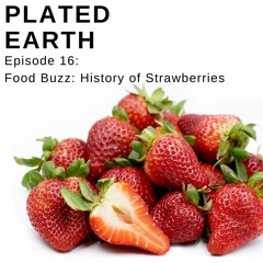 Episode 16 - Food Buzz: History of Strawberries