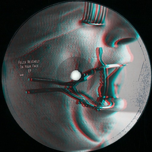 Felix Reichelt - In Your Face ( Preview) Dreizehn Schallplatten out now