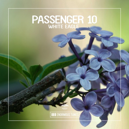 Passenger 10 - White Eagle