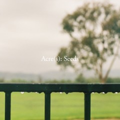 Mustard Seed (Luke: 3:18-19)