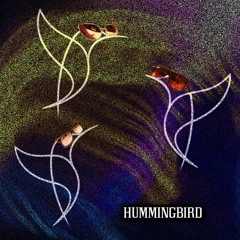 Hummingbird - Walking (Step5 Remix)