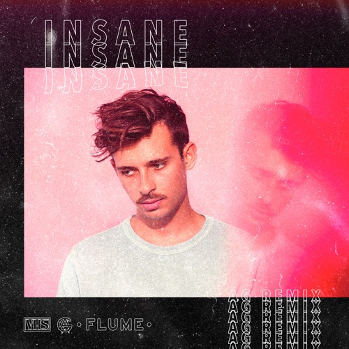 Flume - Insane (AG Remix)