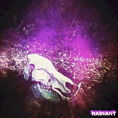 What Happened? (demo)