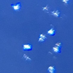 straight from the leaf (FREE)