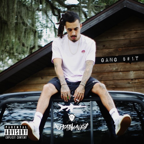 GangShit{prodby.GALD}