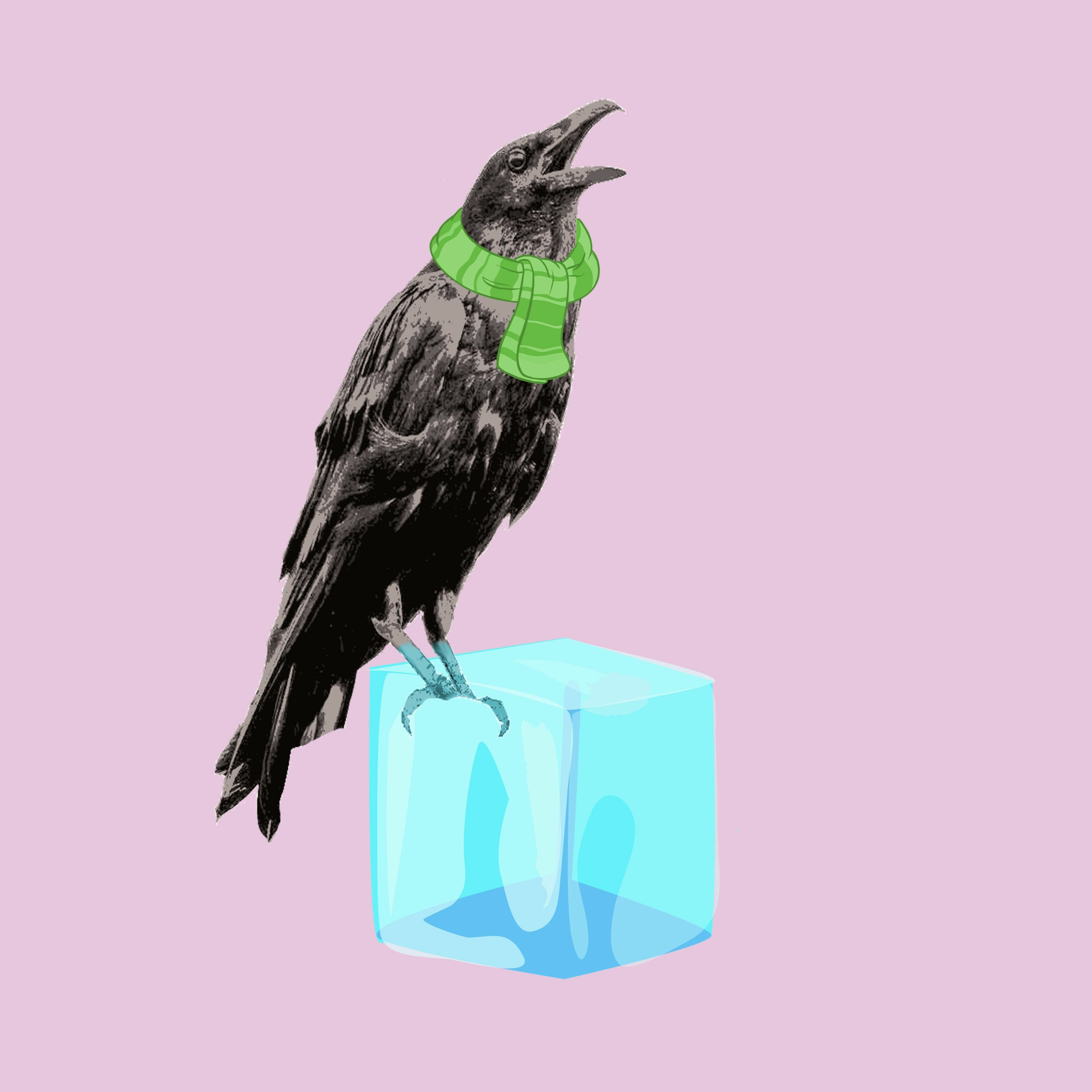 Cold Feet Story SLAM - Barbara Noseworthy episode artwork