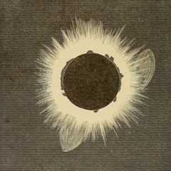 Dead In The Water (Noel Gallagher)