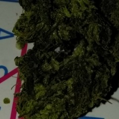 Yung burna ft its Duke bitch all my life