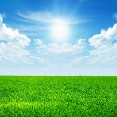 Sparta Golly Gee Base