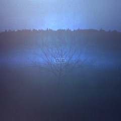 The Distant Sky (Remix)