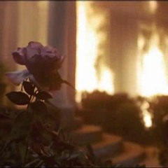 Opus Market - Dissector's Cut Vol.2