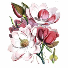 Dancing In The Dark (Bruce Springsteen Cover)